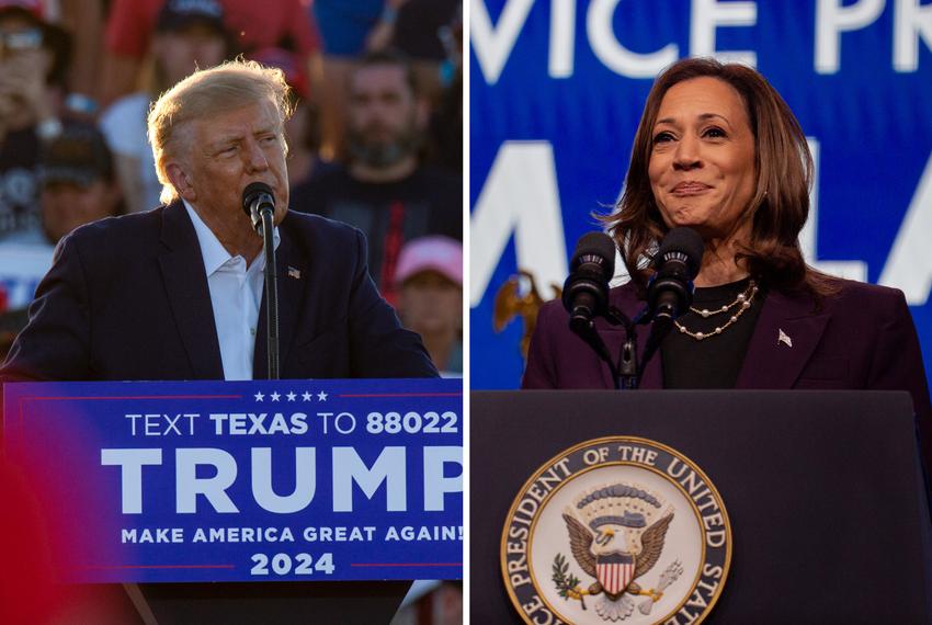 2024 U.S. Presidential Election: Kamala Harris and Donald Trump in a High-Stakes Battle for the White House